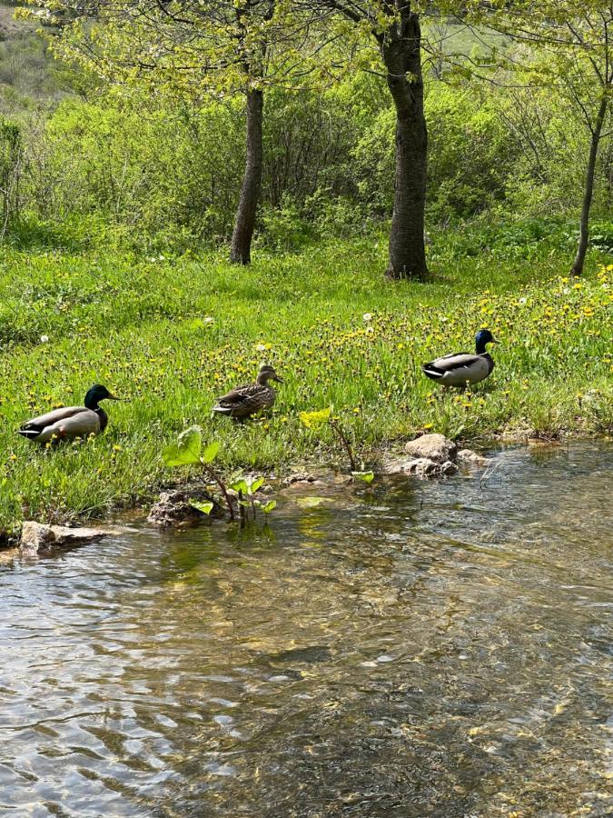 Rustic Inn River 2 Plitvička Jezera Buitenkant foto