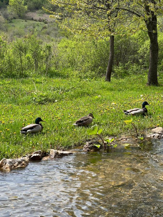 Rustic Inn River 2 Plitvička Jezera Buitenkant foto